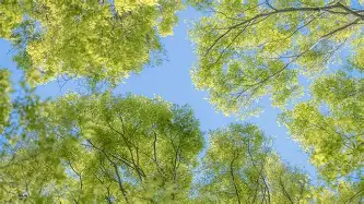 澳门新葡京-俄克拉荷马雷霆今晚绝杀压哨萨克拉门托国王伤情更新备战欧超杯，西汉姆扳平良机备战法国杯都惊呆了的简单介绍